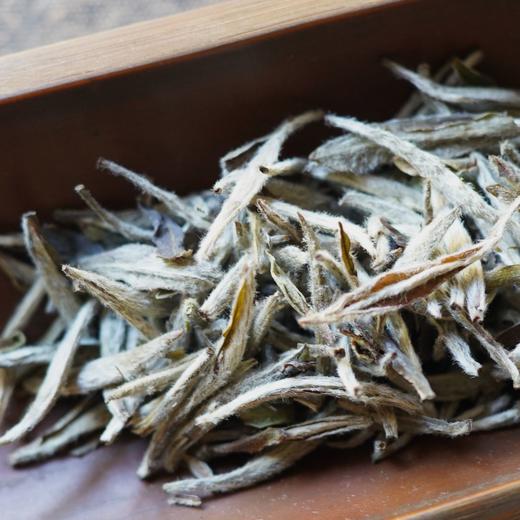 藏白毫银针 2022年磻溪湖林电焙炭焙日晒银针 福鼎白茶 商品图1