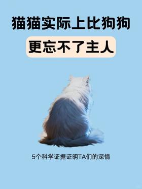 猫咪比狗狗更念旧