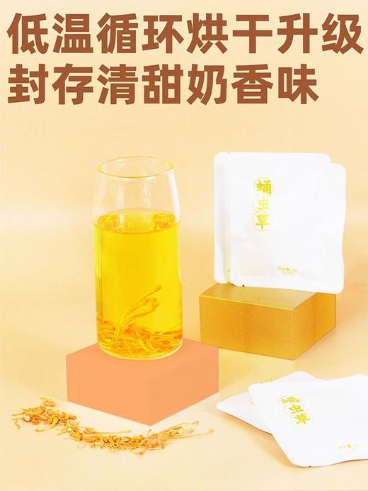 山海堂有机虫草花茶盒｜告别传统熬煮！冷热双泡，解锁有机滋养新方式【4.4-4.6不发货，7号正常发货】 商品图7