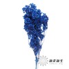 永生花材 | 迎客豆宝蓝 商品缩略图0