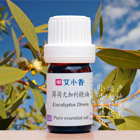 薄荷尤加利精油 澳洲产地直采 强劲清凉空间净化
