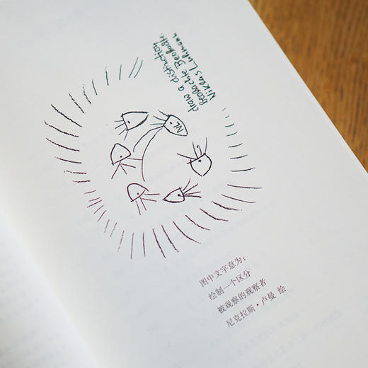 社会系统中的艺术与文学//当代学术棱镜译丛·当代美学理论系列 商品图6