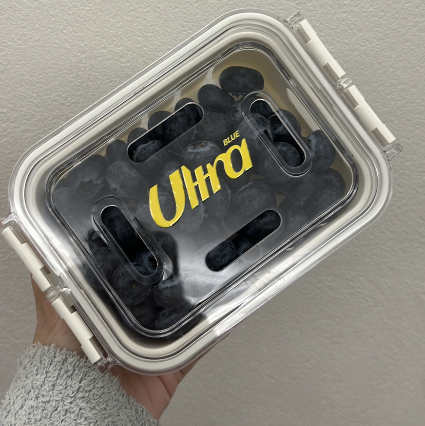 〔上海直发包邮06〕蓝莓