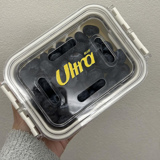 〔上海直发包邮06〕蓝莓 商品图0