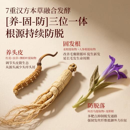 优选丨长发小寨淘米水防脱赋活精华液60ml密发丰盈头皮精华 商品图2