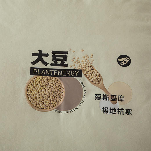 faunen芳恩 FN-B6094黄金大豆春秋被 200×230cm 商品图4