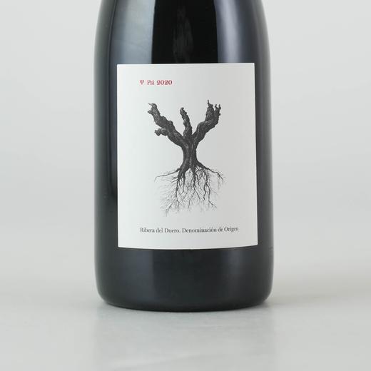 西班牙杜埃罗河岸2020年平古斯PSI葡赛干红 商品图1