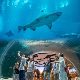 早鸟减1000~【小爱定制】免签含双飞 2026年寒假※最后一团丨迪拜+阿布扎比+沙迦7天5晚畅游阿联酋，我们带孩子一起去触摸真正的阿拉伯世界