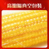 柴火大院 五常黄糯玉米 3.52斤(220g*8根) 杂粮礼盒 低脂粗粮 早餐 东北 /粮油调味 /杂粮 /谷米类 商品缩略图4