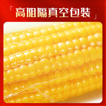 柴火大院 五常黄糯玉米 3.52斤(220g*8根) 杂粮礼盒 低脂粗粮 早餐 东北 /粮油调味 /杂粮 /谷米类 商品图4