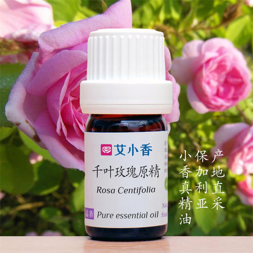 千叶玫瑰原精 保加利亚产地直采 浪漫花香香氛「不送精油」 商品图0