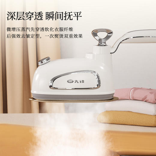 先锋DYD-Y02手持式蒸汽电熨斗 商品图3