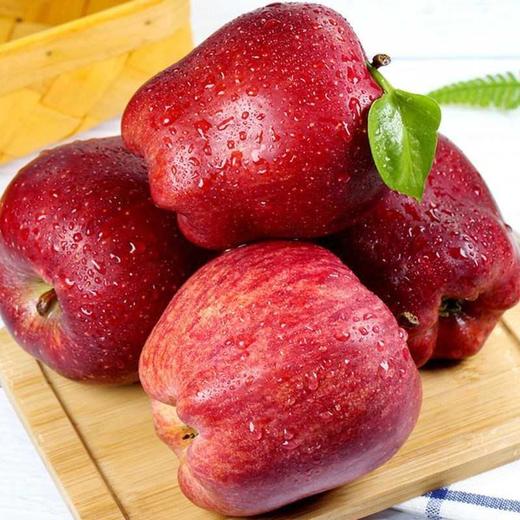 【京东快递】苹果红了 天水花牛苹果  净重4.5-5斤 一果两吃可脆可粉香气四溢 商品图0