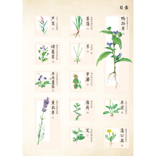 《和孩子一起认识中国植物》（全3册） 商品图3