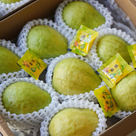 九七树上宝岛的芭乐  红白芭乐礼盒装当季新鲜送礼水果 商品图2