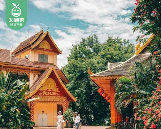 【厦门直飞版纳】6天5晚闽南自组15人纯玩小团云南版纳成人/1位【叼生活】 商品图4