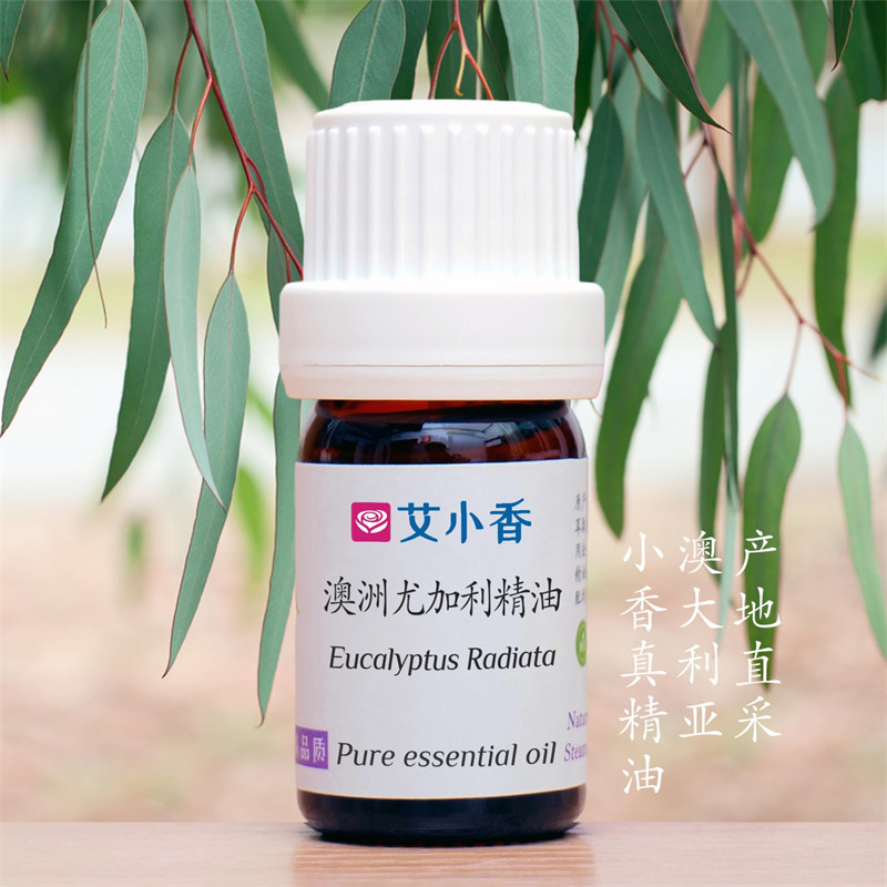 澳洲尤加利精油 澳洲产地直采 桉树叶洁净提振香薰森林呼吸