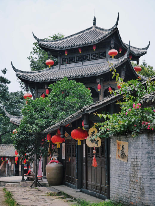 元旦1.1【绵阳·“鳞潜羽翔”地理自然主题一日营】三江湖湿地公园海鸥观测、寻龙山天然溶洞地质探秘、龙隐山民俗文化体验 商品图11