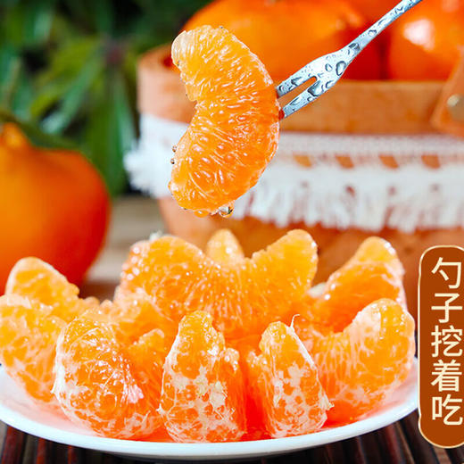 【春见耙耙柑】  口口爆汁  皮薄肉厚 坚持自然熟 开启舌尖上的曼妙之旅 商品图4