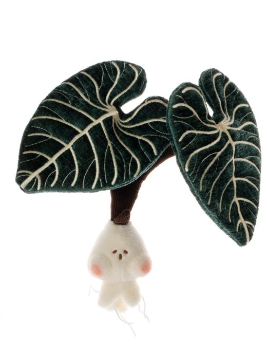 logaloga/B6012/帝王花烛盆栽摆件 商品图5