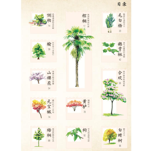 《和孩子一起认识中国植物》（全3册） 商品图11