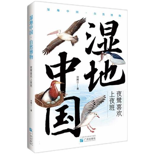 夜鹭喜欢上夜班 商品图0
