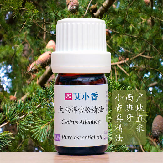 大西洋雪松精油 西班牙产地直采 木质沉静坚毅香调 男性森林香氛 商品图0
