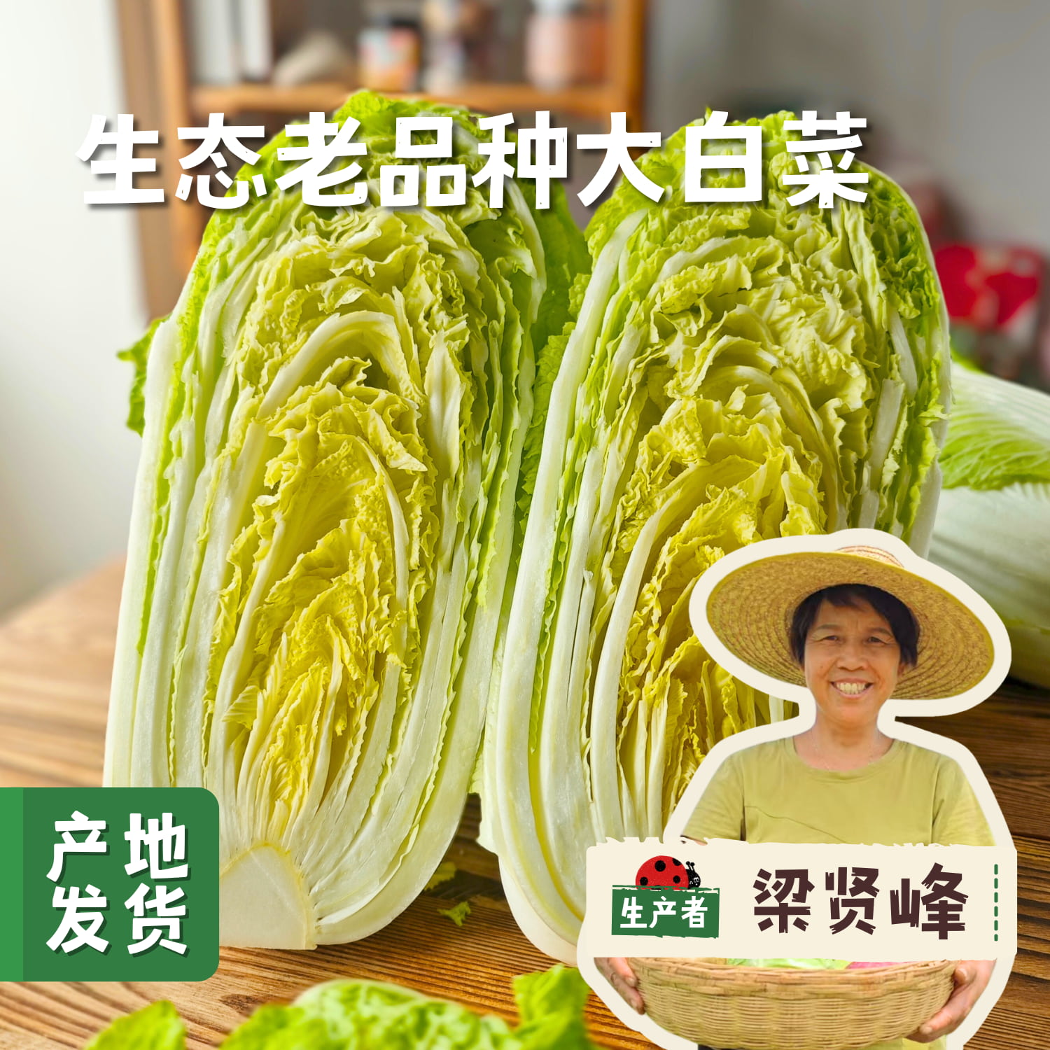【丰产特惠】河南生态老品种大白菜 4.8斤/7.8斤/20斤 | 合作农友生产，产自河南平顶山，生产者：梁贤峰 *【公平贸易农人定价】