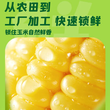 十月稻田 水果甜玉米 8根 3.52斤 真空开袋即食 低脂早餐 粗粮礼盒 /粮油调味 /杂粮 /谷米类 商品图4