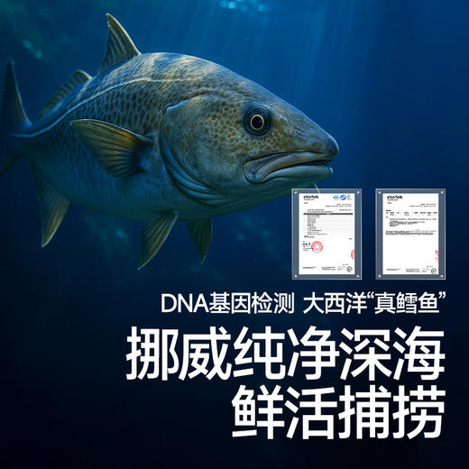 秋田满满-真鳕鱼组合 商品图3