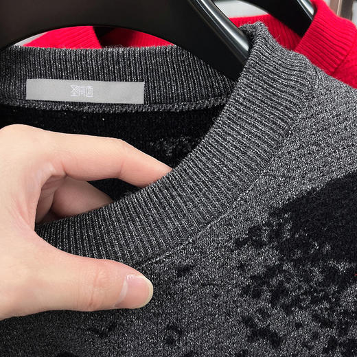 圣得西2025年冬季男士新款针织毛衣动物提花圆领套头时尚保暖毛衫 商品图6