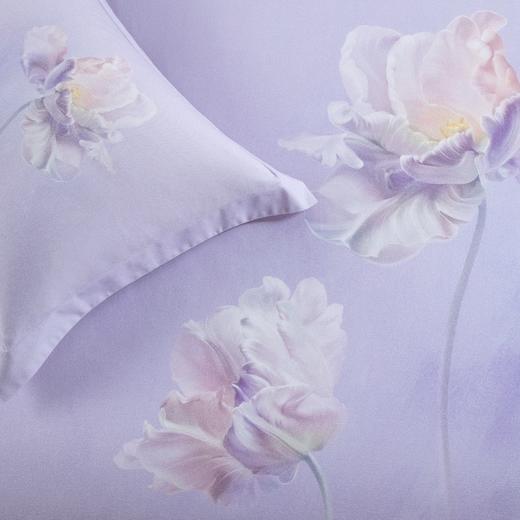 10楼堂皇   全面磨毛印花四件套--染梦 200x230cm   吊牌价1690元活动价399元 商品图1