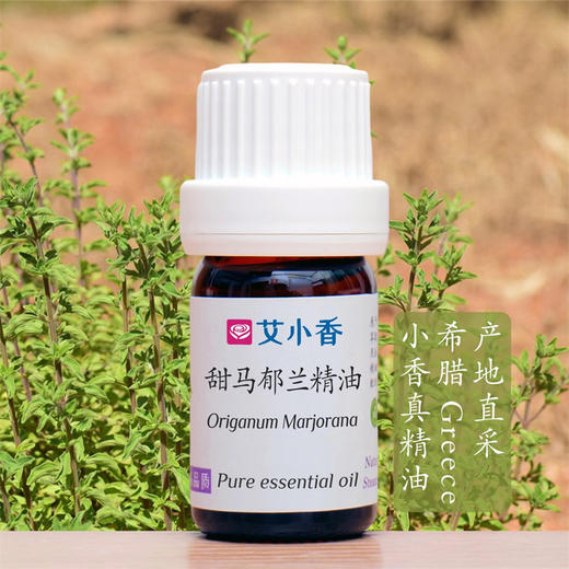 甜马郁兰精油 希腊/埃及产地  放松身心舒情绪入睡 商品图0