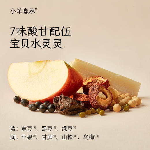 【新人首单礼19.9】「乌梅三豆膏5袋」+「三豆梅子汁2袋」 商品图7