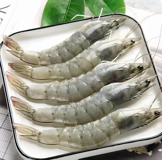 【顺丰包邮】南海大虾南海纯净海域海捕野生大虾 活虾单只速冻 从捕捞到装箱不超过6小时 去冰去盒净重3斤 性价比直接拉满 顺丰基地直邮 商品图3