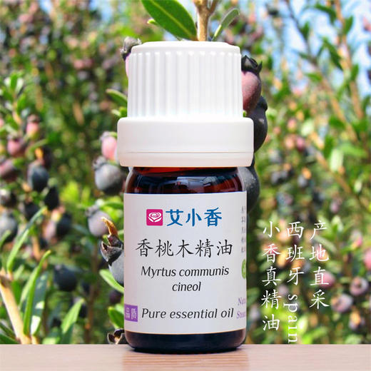 香桃木精油桃金娘  西班牙产地直采 香氛舒心绪地中海香调 商品图0