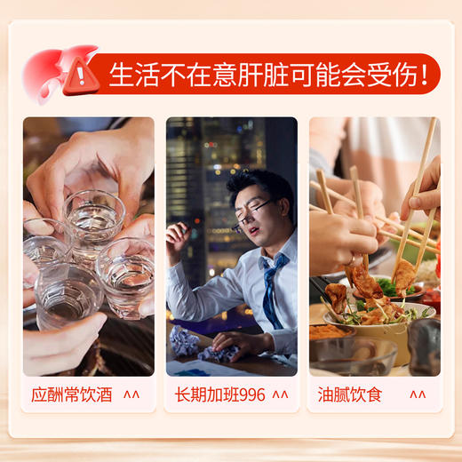 百年扁氏 赐兰堂牌水飞蓟红景天灵芝片 商品图1