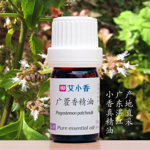 广藿香精油 独特香调舒情绪 土壤芬芳深沉香氛 广东湛江产地 商品图0
