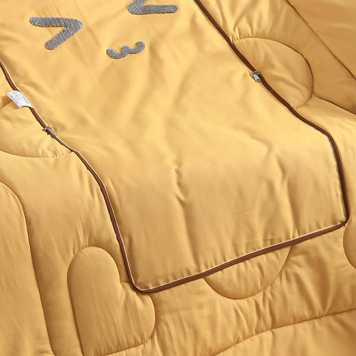 faunen芳恩 FN-R7011颜表情抱枕被 黄色 商品图4