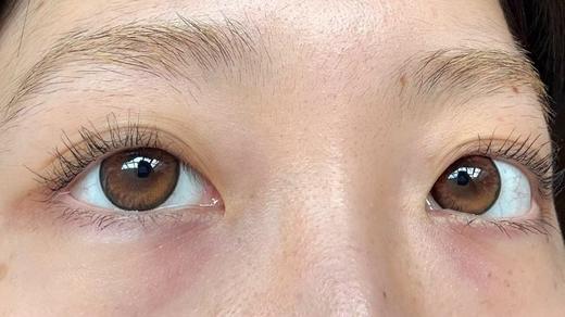 liliyacon半年抛美瞳 一颗琥珀 14.5mm 商品图0