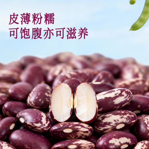全食物日记 有机芸豆(花腰)380g 商品图2