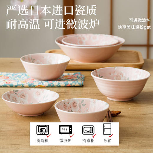 日本制造漫舞樱花餐具 商品图2