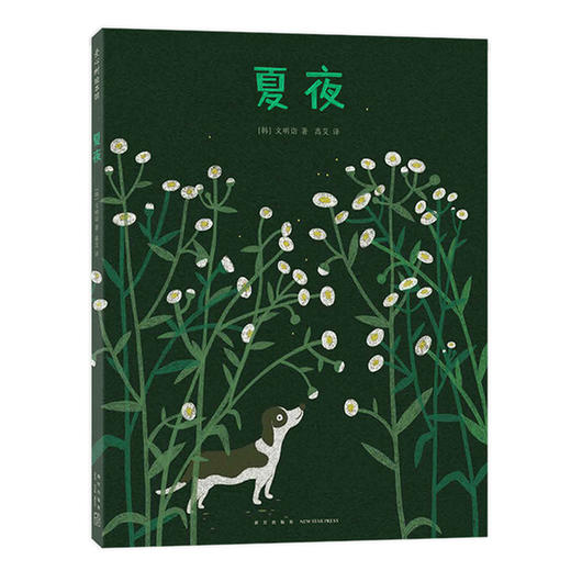 文明诣自然奇遇三部曲：夏夜(（韩）文明诣 著 ) 商品图0