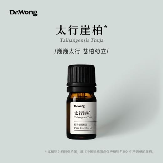 太行崖柏 植物香薰精油 商品图0