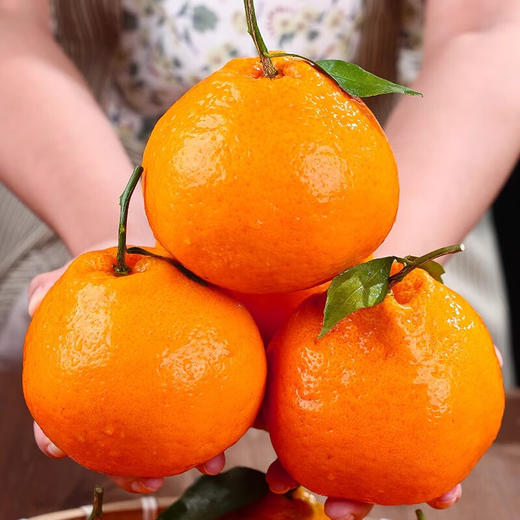 【春见耙耙柑】  口口爆汁  皮薄肉厚 坚持自然熟 开启舌尖上的曼妙之旅 商品图7