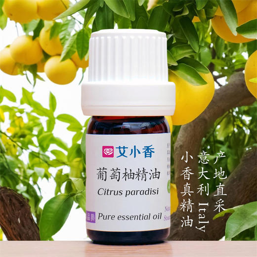 葡萄柚精油 果香愉悦提振日常活力香氛 意大利产地 商品图0
