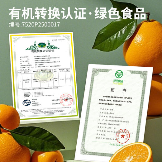 湖南脐橙5斤（直径75-80mm） 商品图2