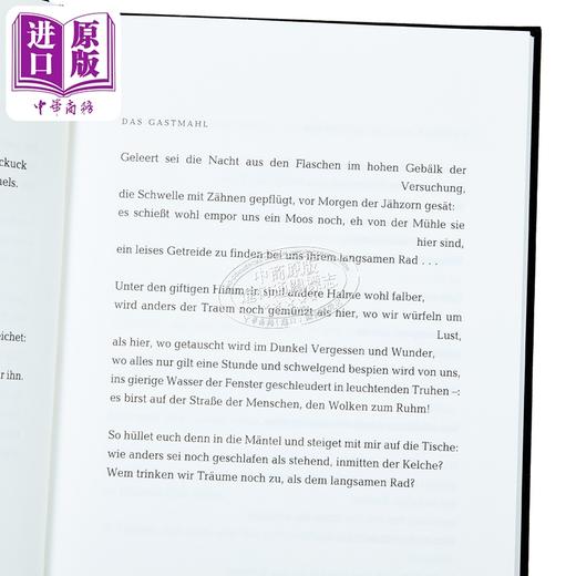预售 【中商原版】【德文版】保罗 策兰 记忆 Mohn und Gedachtnis 德文原版 Paul Celan 商品图2