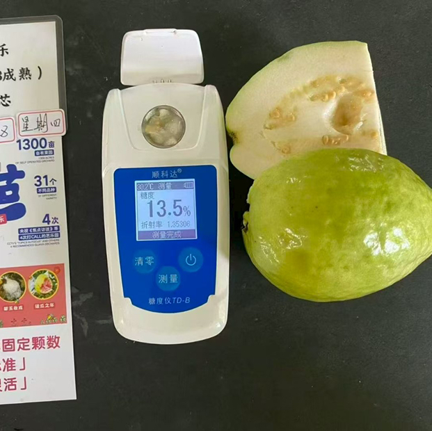 奶油 芭乐 闻着就想吃的芭乐，草莓奶油  配酸梅粉 无敌香 19.9/件