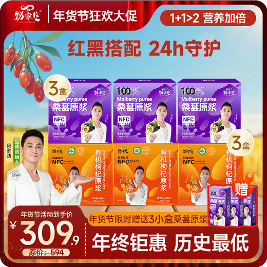 年货节  当季鲜货 头茬 红黑原浆组合 桑葚原浆+枸杞原浆 商品图2